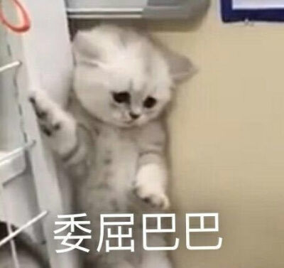 表情包委屈巴巴