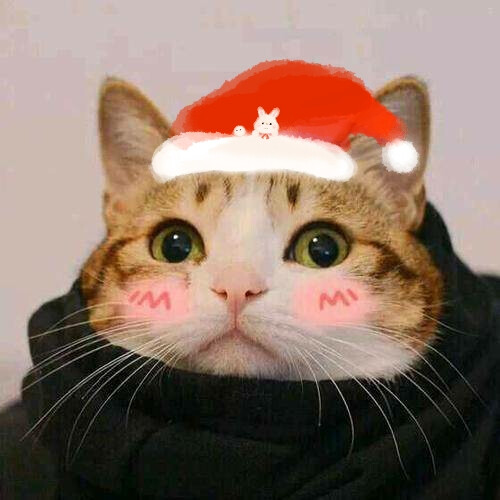 自制圣诞节情头闺蜜头,猫咪圣诞情头,超可爱哇