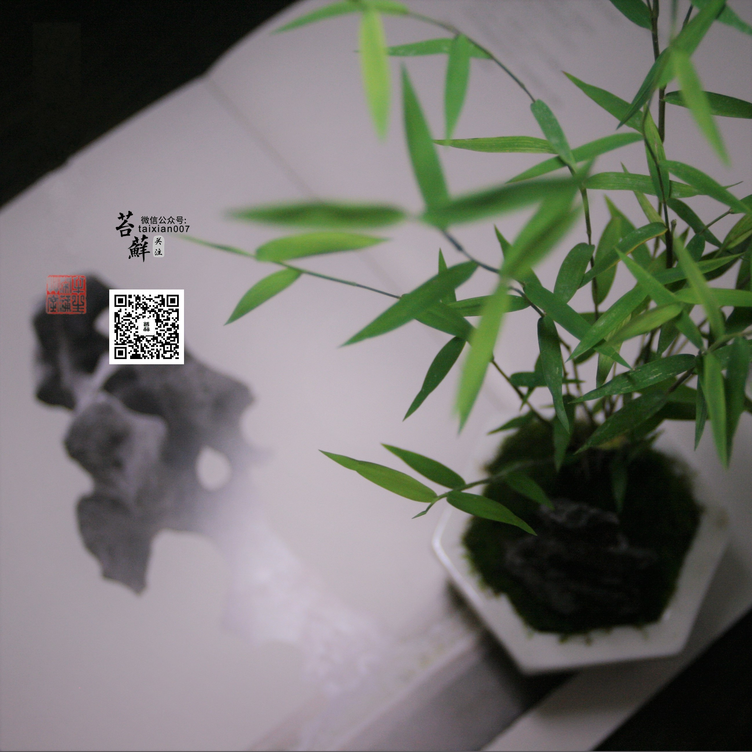 新中式竹子盆栽盆景3d模型下载_ID10058903_3dmax免费模型-欧模网