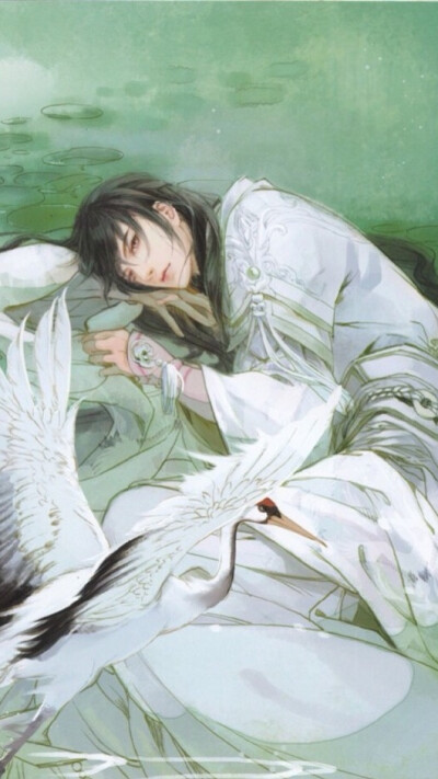 点赞  评论  古风 唯美 壁纸 美人  0 145 噗呲哥哥  发布到  古风男