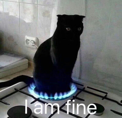 黑猫 表情包 坐煤气 i"am fine