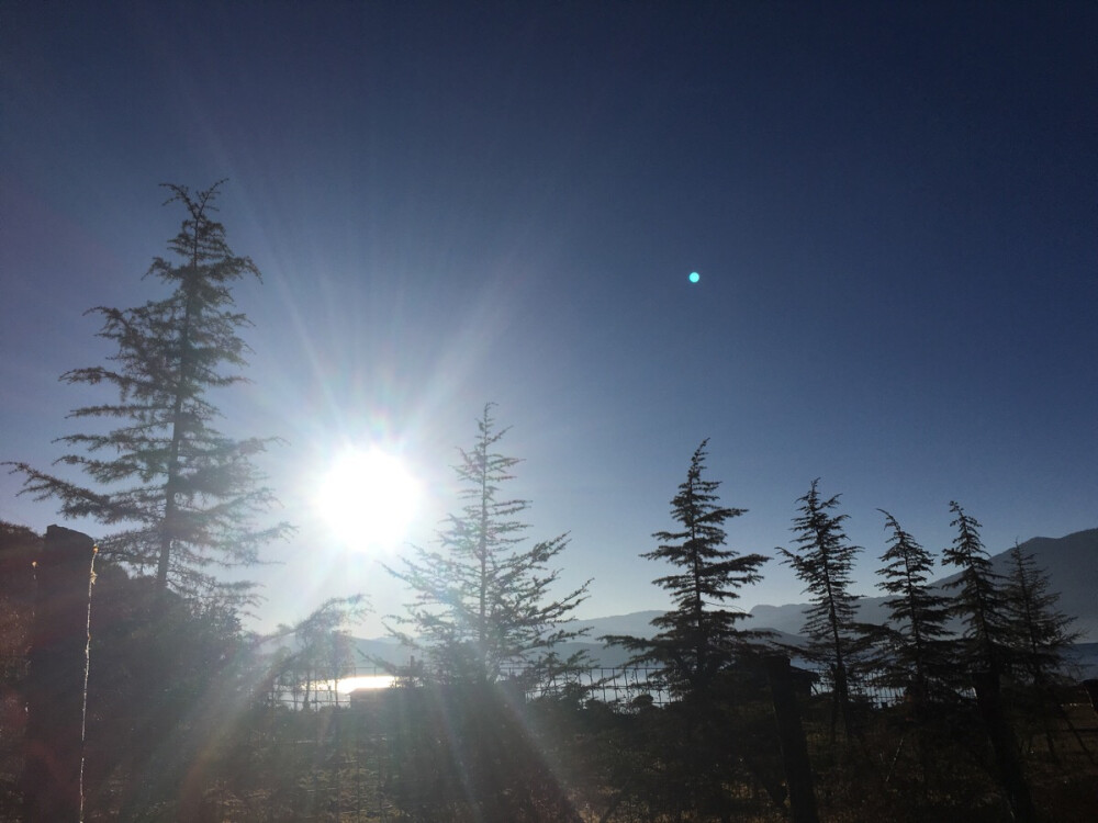 早上的太阳