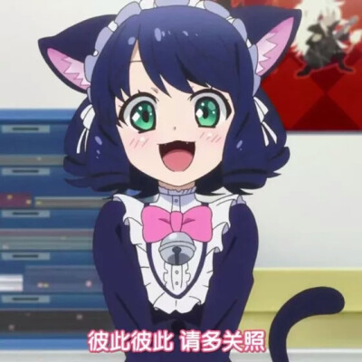 新萌求带