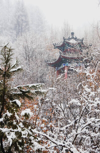 北海道雪景 堆糖 美图壁纸兴趣社区