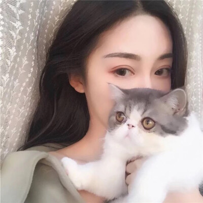 抱猫女头