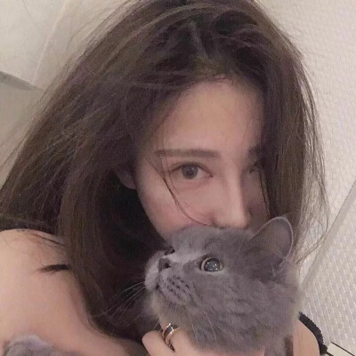 抱猫女头