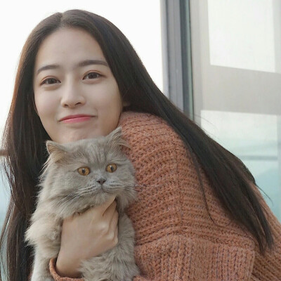 抱猫女头
