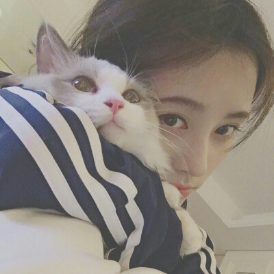 抱猫女头