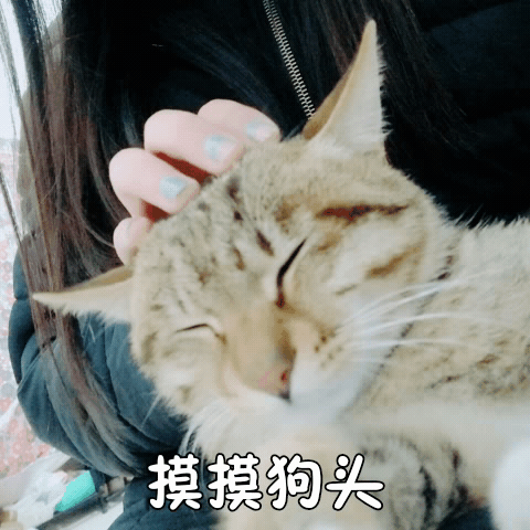 摸摸头 