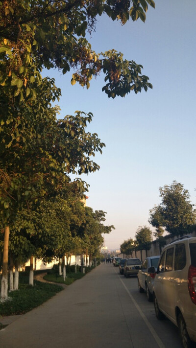 云,风景,夕阳,壁纸随手拍首发