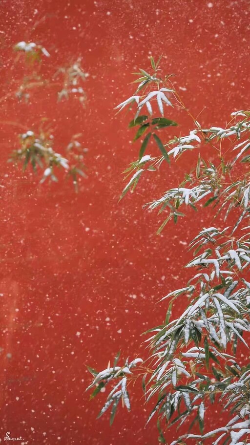 故宫雪景