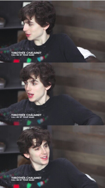 蒂莫西·柴勒梅德timothée chalamet,甜茶,头像,壁纸