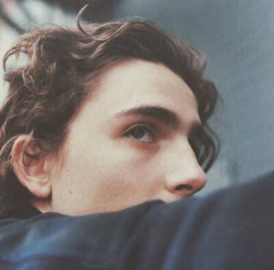 蒂莫西·柴勒梅德timothée chalamet,甜茶,头像,壁纸