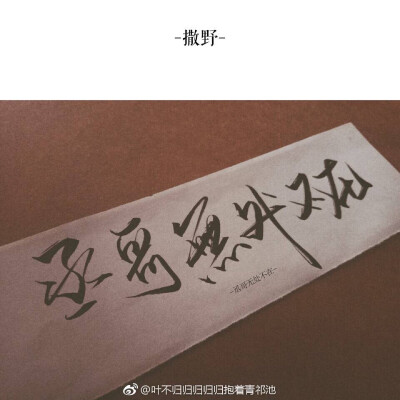 撒野向丞哥学习