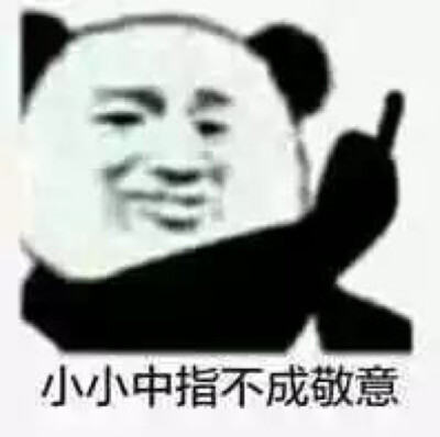 小小中指,不成敬意