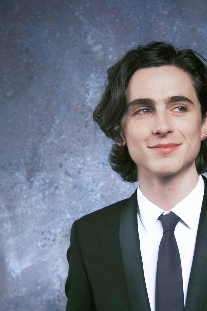 蒂莫西·柴勒梅德timothée chalamet,甜茶,头像,壁纸