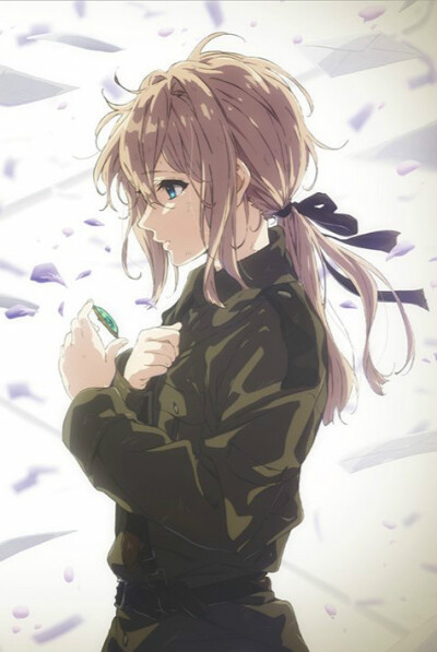 紫罗兰