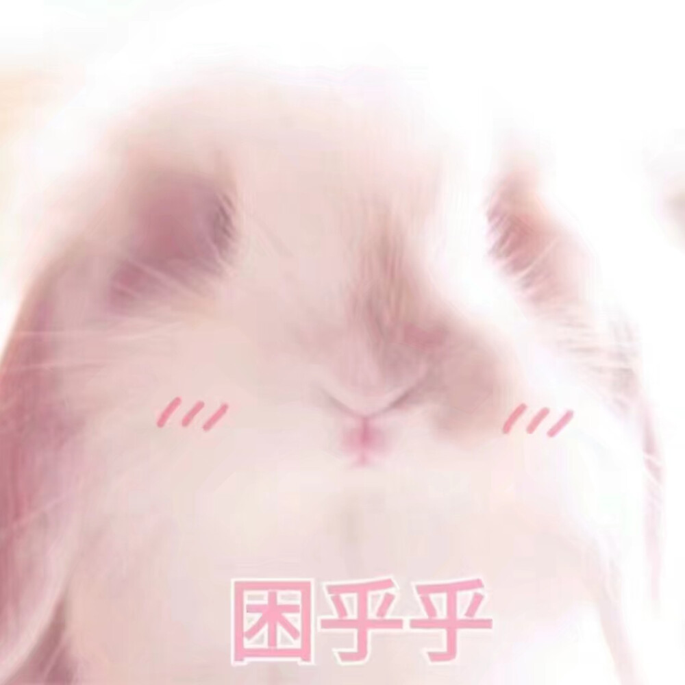 表情包 软萌 兔子 粉色