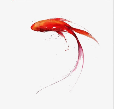 中国风红鲤鱼 作图素材 封面