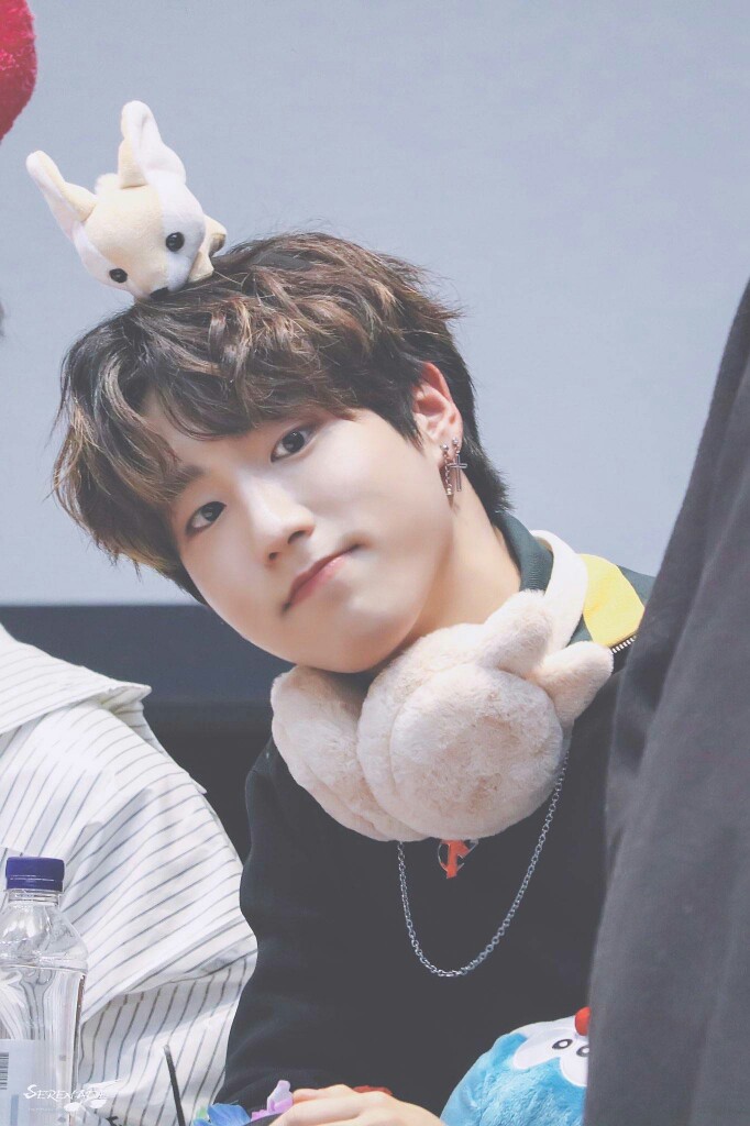 straykids韩知城hanjisung