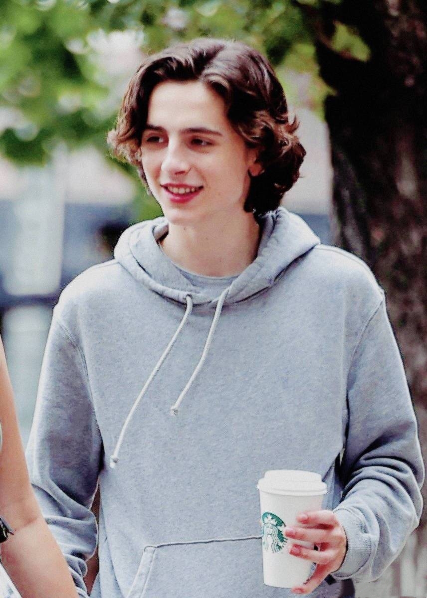 蒂莫西·柴勒梅德timothée chalamet,甜茶,头像,壁纸