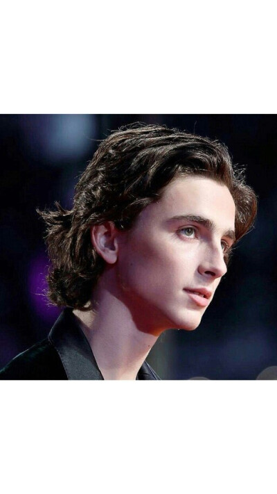 蒂莫西·柴勒梅德timothée chalamet,甜茶,头像,壁纸