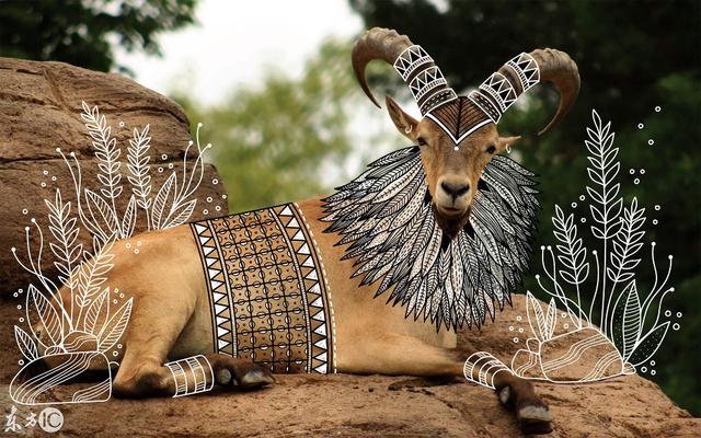 突然个动物涂鸦的,这位艺术人士创意将动物和非洲部落艺术完美结合