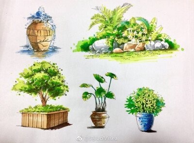 植物速写