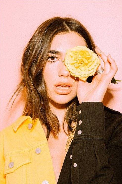 dua.lipa