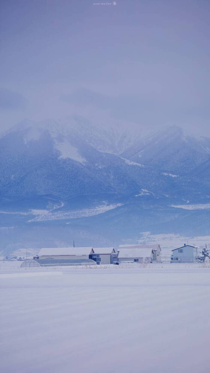 新鮮な雪壁紙 最高の壁紙hd