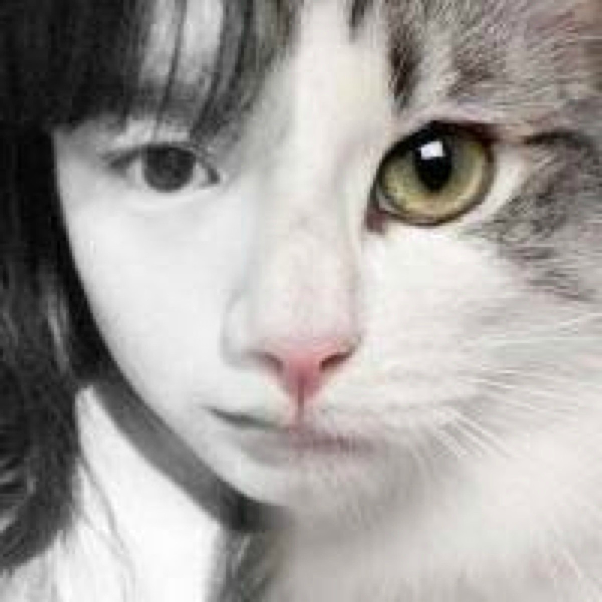 情侣头像,闺蜜头像★【新浪微博:高清无水印iphone萌壁纸】