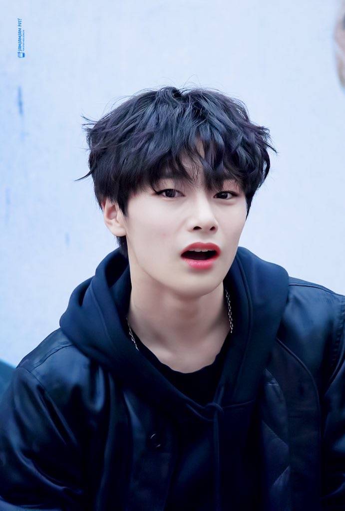 stray kids 梁精寅(yang jeong in)