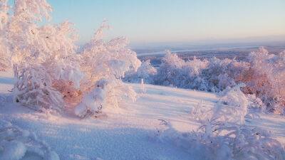 唯美,风景,小清新壁纸,雪花,色系