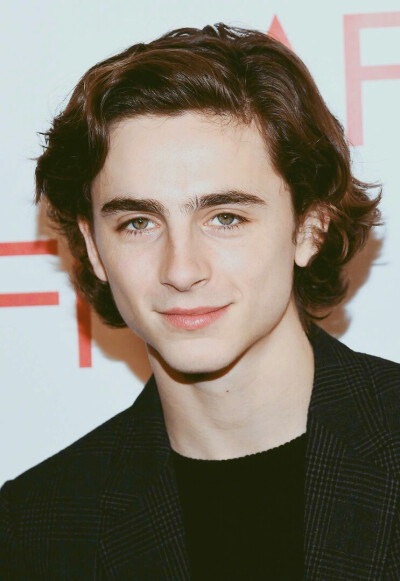 蒂莫西·柴勒梅德timothée chalamet,甜茶,头像,壁纸