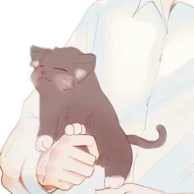 动漫情头猫兔子