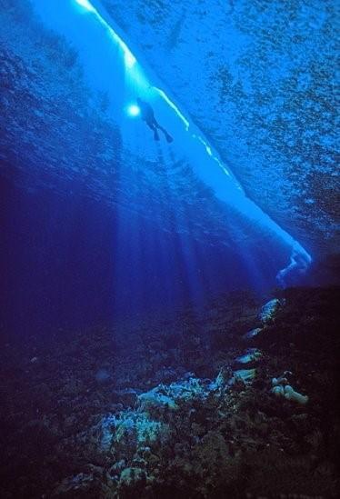 深海恐惧症 海洋 海水