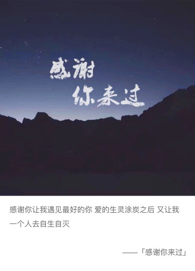 感谢你来过壁纸