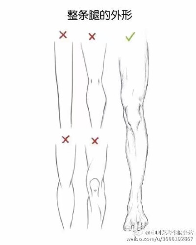 腿,膝盖结构,技法,临摹,素描