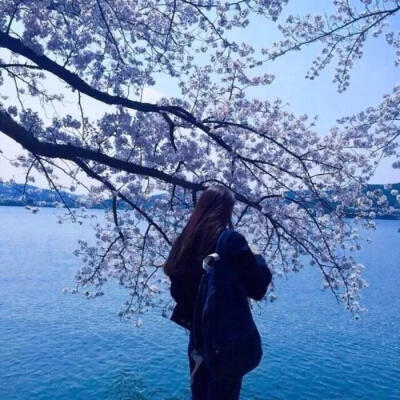 花的女孩儿,海边坐,原谅我捧花出席只为错过你【女头唯美带花】by沐晴