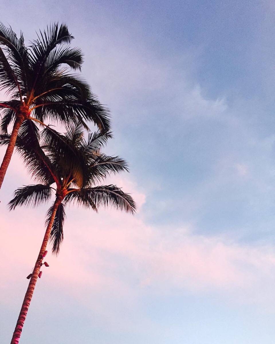 背景图 壁纸 风景 ins:baekhyunee_exo