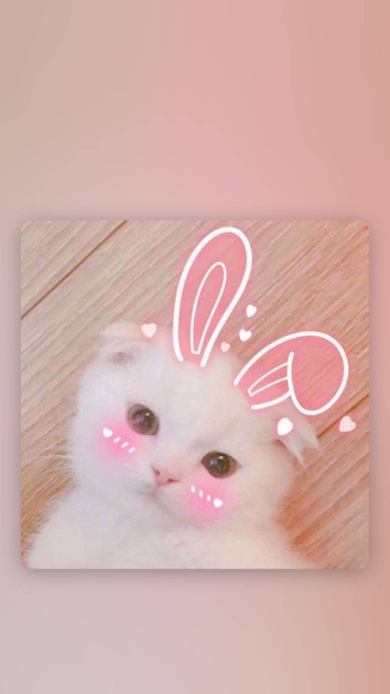 暖色系壁纸 壁纸