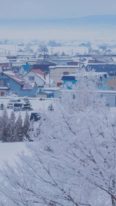 蓝色雪景