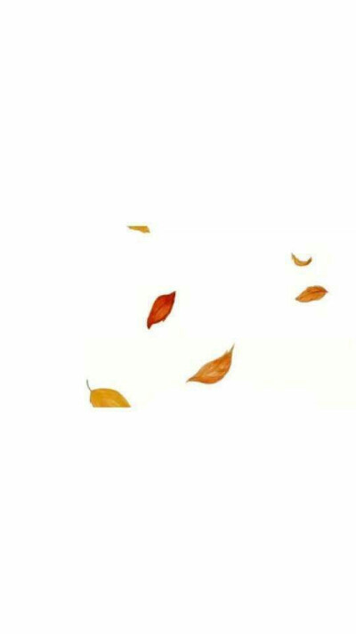 白底壁纸