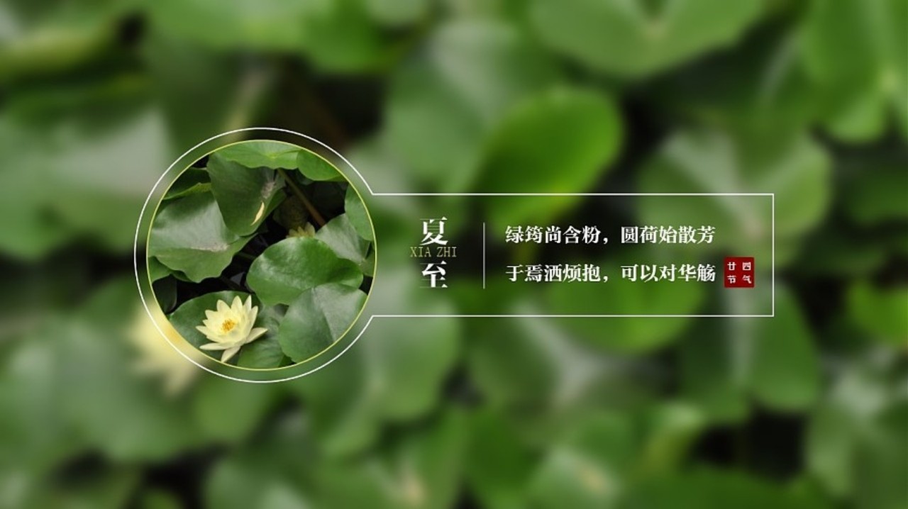 旭风· 二十四节气-夏至 - 堆糖,美图壁纸兴趣社区