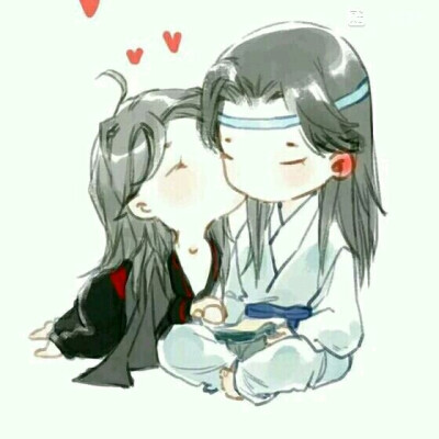 魔道祖师 魏无羡 蓝忘机 魏婴