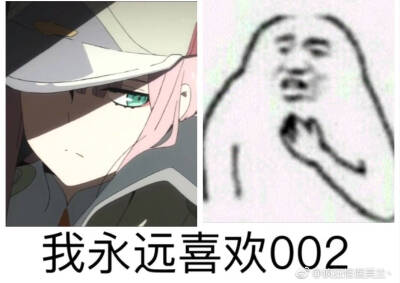 darling in the 表情包