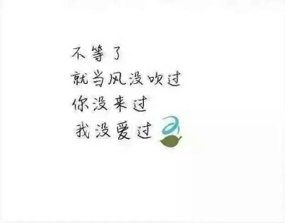 我不等了.,就当风没吹过