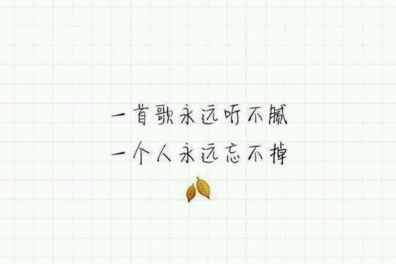 你是我穷极一生不敢追又忘不掉的梦