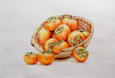 彩铅手绘《柿柿如意》