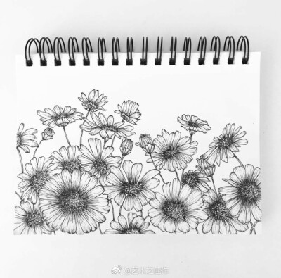针管笔画,黑白画